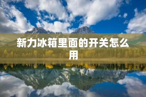 新力冰箱里面的开关怎么用