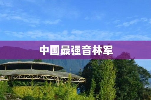 中国最强音林军：音乐界的引领者
