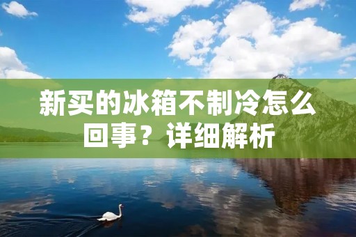 新买的冰箱不制冷怎么回事?详细解析 新买的冰箱不制冷怎么回事?详细解析