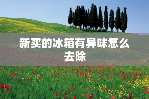 新买的冰箱有异味怎么去除