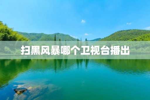 扫黑风暴哪个卫视台播出 扫黑风暴哪个卫视台播出