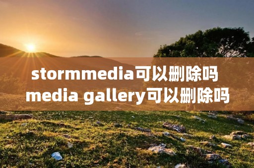 stormmedia可以删除吗 media gallery可以删除吗