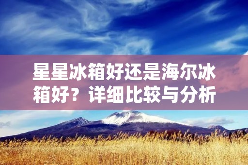 星星冰箱好还是海尔冰箱好?详细比较与分析 星星冰箱好还是海尔冰箱好?详细比较与分析