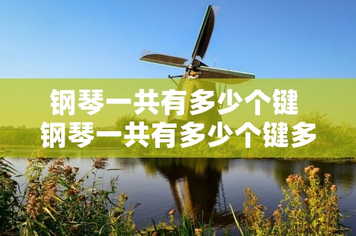 钢琴一共有多少个键 钢琴一共有多少个键多少个白键多少个黑键