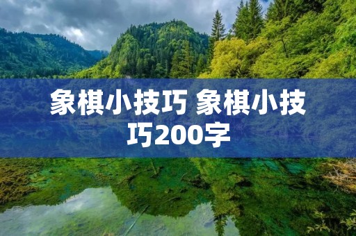 象棋小技巧 象棋小技巧200字