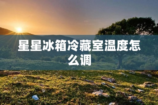 星星冰箱冷藏室温度怎么调 星星冰箱冷藏室温度怎么调