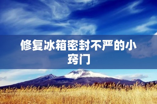 修复冰箱密封不严的小窍门