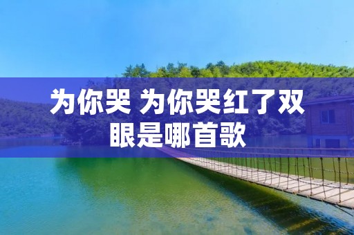 为你哭 为你哭红了双眼是哪首歌
