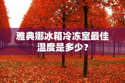 雅典娜冰箱冷冻室最佳温度是多少? 雅典娜冰箱冷冻室最佳温度是多少?