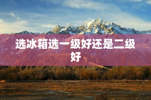 选冰箱选一级好还是二级好 选冰箱选一级好还是二级好