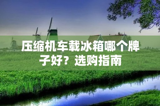 压缩机车载冰箱哪个牌子好?选购指南 压缩机车载冰箱哪个牌子好?选购指南