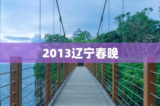 2013辽宁春晚:一场精彩绽放的文化盛宴 2013辽宁春晚:一场精彩绽放的文化盛宴