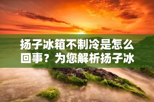 扬子冰箱不制冷是怎么回事?为您解析扬子冰箱不制冷的原因及解决方法 扬子冰箱不制冷是怎么回事?为您解析扬子冰箱不制冷的原因及解决方法