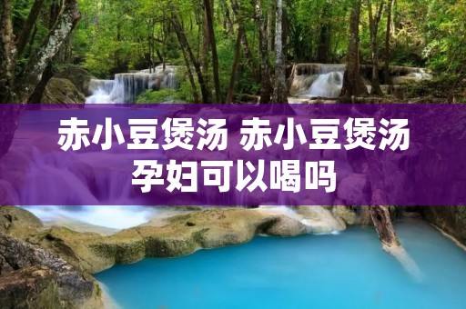 赤小豆煲汤 赤小豆煲汤孕妇可以喝吗 赤小豆煲汤 赤小豆煲汤孕妇可以喝吗