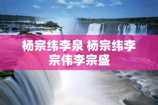 杨宗纬李泉 杨宗纬李宗伟李宗盛 杨宗纬李泉 杨宗纬李宗伟李宗盛
