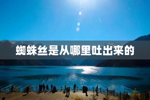 蜘蛛丝是从哪里吐出来的 蜘蛛丝是从哪里吐出来的