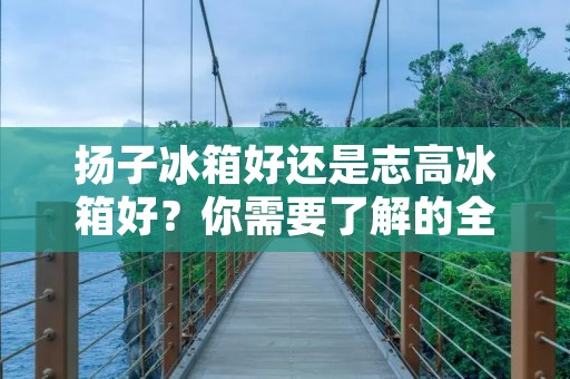 扬子冰箱好还是志高冰箱好?你需要了解的全面评价! 扬子冰箱好还是志高冰箱好?你需要了解的全面评价!