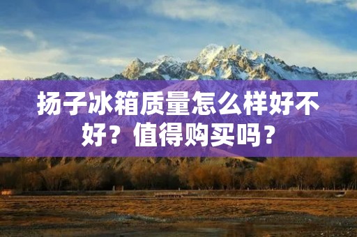 扬子冰箱质量怎么样好不好?值得购买吗? 扬子冰箱质量怎么样好不好?值得购买吗?
