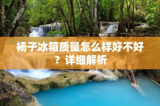 杨子冰箱质量怎么样好不好？详细解析