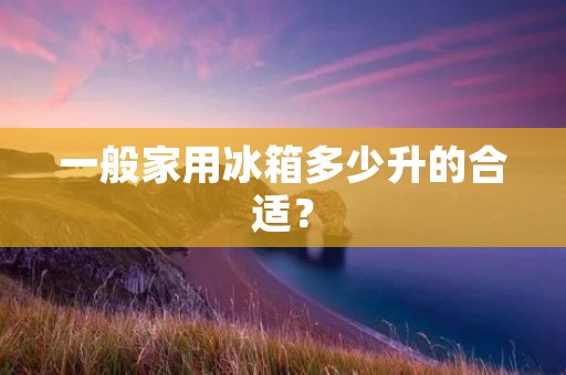 一般家用冰箱多少升的合适? 一般家用冰箱多少升的合适?