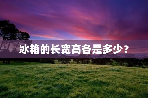 冰箱的长宽高各是多少？