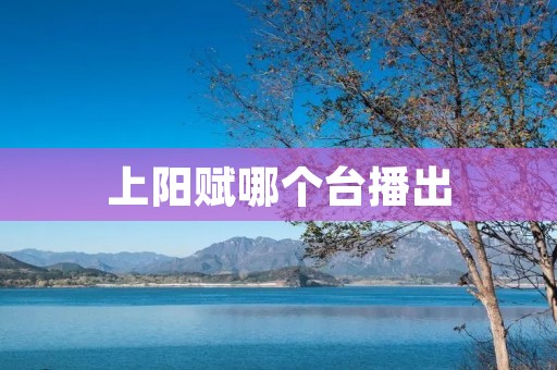 上阳赋哪个台播出
