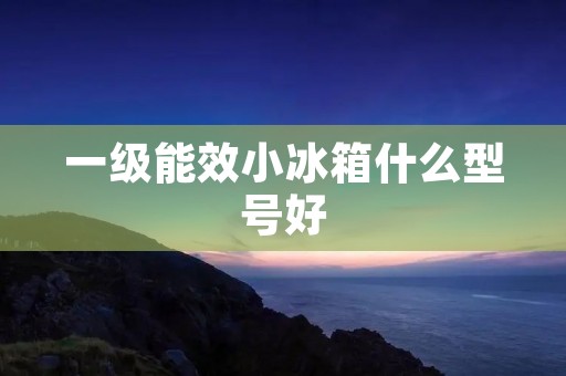 一级能效小冰箱什么型号好 一级能效小冰箱什么型号好