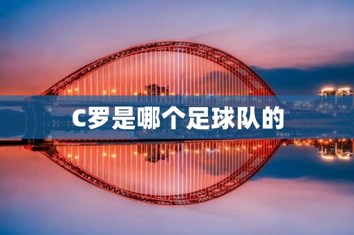 C罗是哪个足球队的 C罗是哪个足球队的