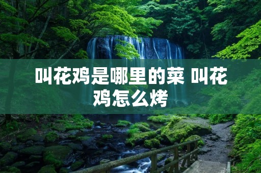 叫花鸡是哪里的菜 叫花鸡怎么烤