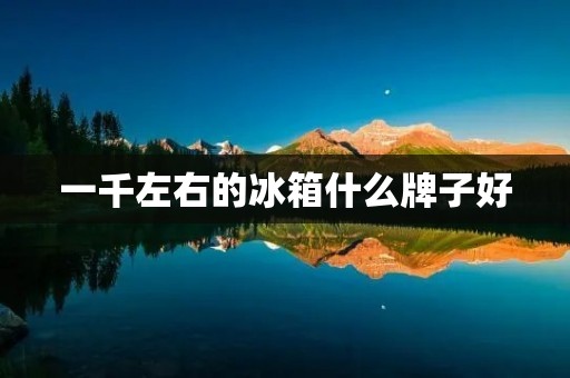 一千左右的冰箱什么牌子好:挑选适合您的高品质冷藏解决方案