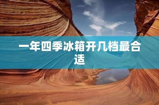 一年四季冰箱开几档最合适:详细解析及使用建议 一年四季冰箱开几档最合适:详细解析及使用建议