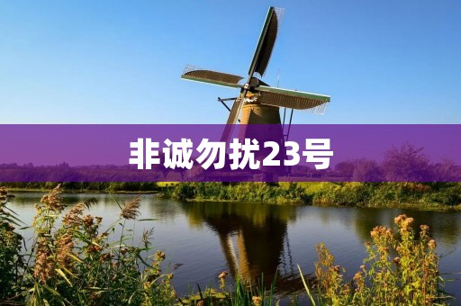 非诚勿扰23号：一场爱情的洗牌游戏