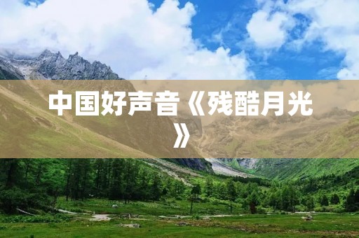 中国好声音《残酷月光》：华丽舞台下的音乐魅力
