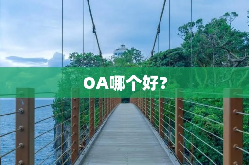 OA哪个好？