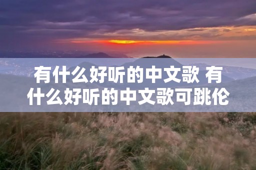 有什么好听的中文歌 有什么好听的中文歌可跳伦巴