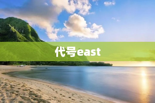 代号east：探索东方魅力的神秘密码
