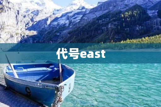 代号east：一个神秘而强大的存在