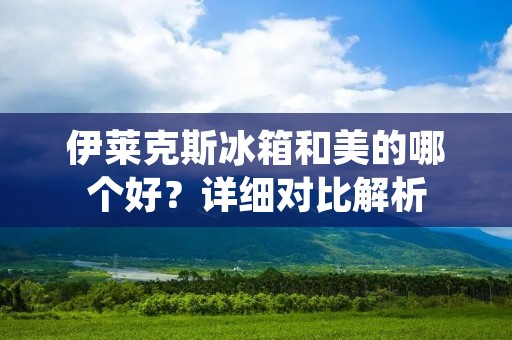 伊莱克斯冰箱和美的哪个好？详细对比解析