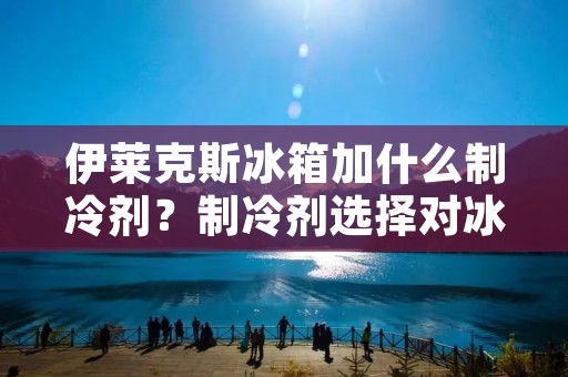 伊莱克斯冰箱加什么制冷剂?制冷剂选择对冰箱性能的影响 伊莱克斯冰箱加什么制冷剂?制冷剂选择对冰箱性能的影响