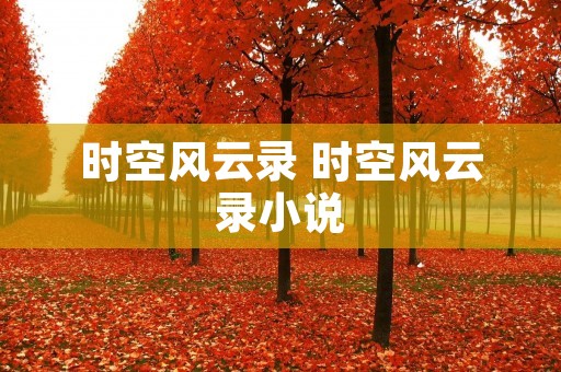 时空风云录 时空风云录小说