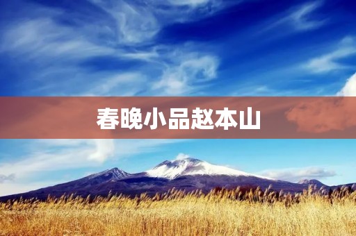 春晚小品赵本山:幽默王者的舞台魅力 春晚小品赵本山:幽默王者的舞台魅力
