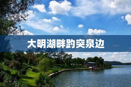 大明湖畔趵突泉边:一处美丽的自然景观 大明湖畔趵突泉边:一处美丽的自然景观
