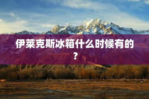 伊莱克斯冰箱什么时候有的? 伊莱克斯冰箱什么时候有的?