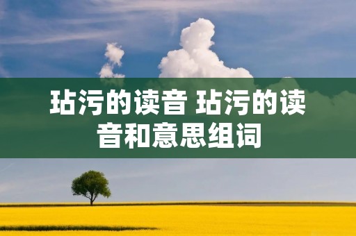 玷污的读音 玷污的读音和意思组词 玷污的读音 玷污的读音和意思组词