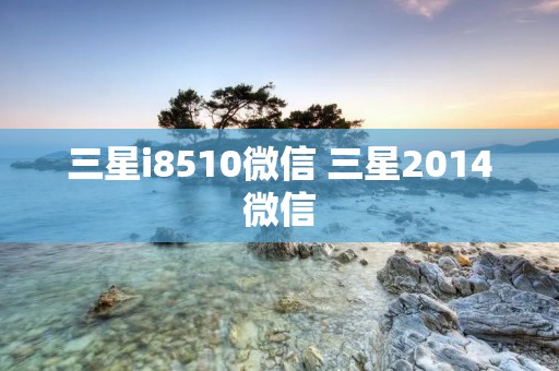 三星i8510微信 三星2014微信