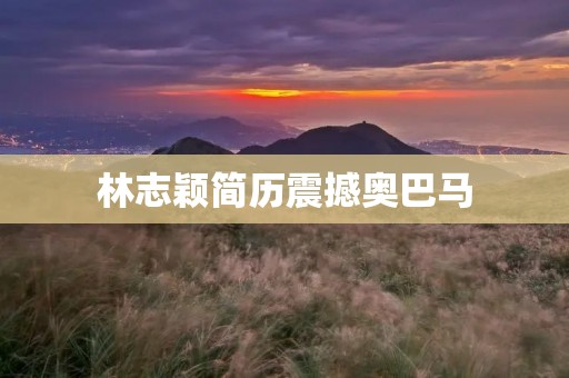林志颖简历震撼奥巴马：一个华人艺人的非凡成就