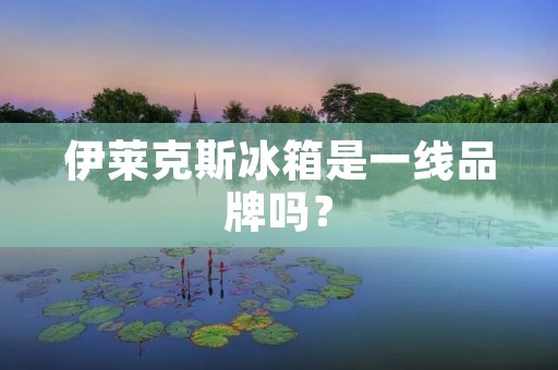 伊莱克斯冰箱是一线品牌吗? 伊莱克斯冰箱是一线品牌吗?