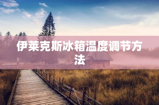 伊莱克斯冰箱温度调节方法：保持食品新鲜的秘诀