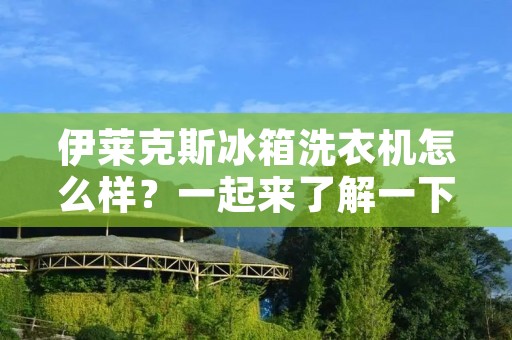 伊莱克斯冰箱洗衣机怎么样？一起来了解一下吧！
