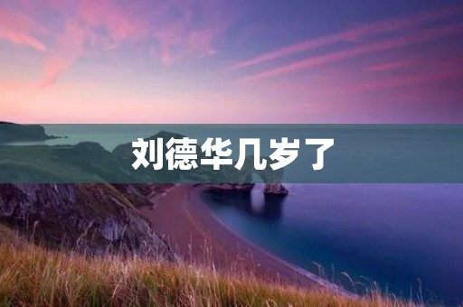 刘德华几岁了